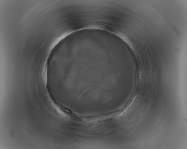 X0000113371127200910061055