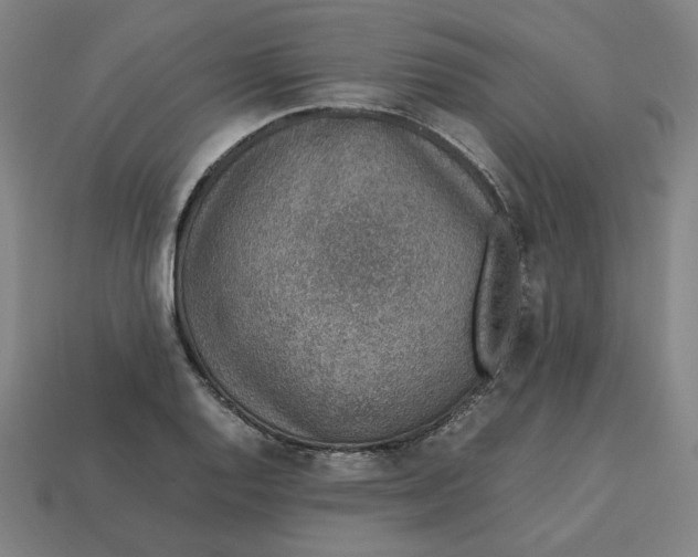 X0000113371128200910061055