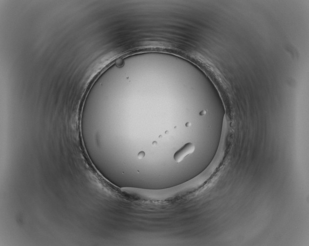 X0000113371129200910061055