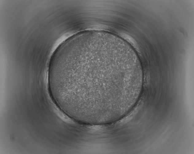 X0000113371130200910061055