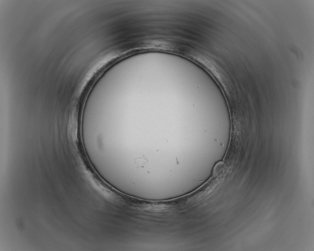 X0000113371131200910061055