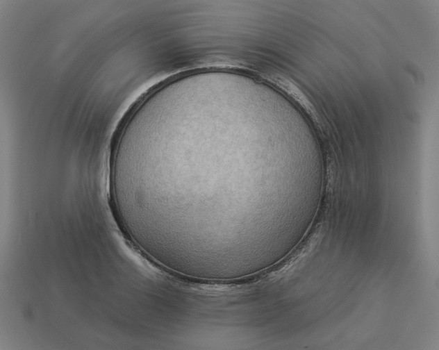 X0000113371132200910061055