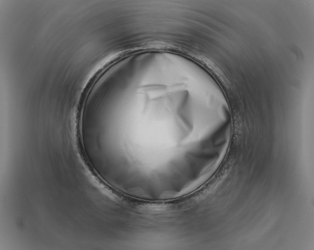 X0000113371134200910061055