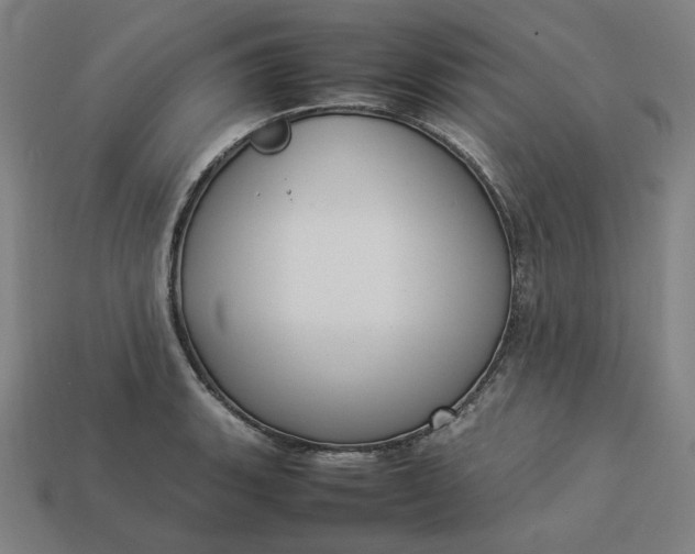 X0000113371135200910061055