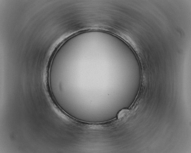 X0000113371136200910061055