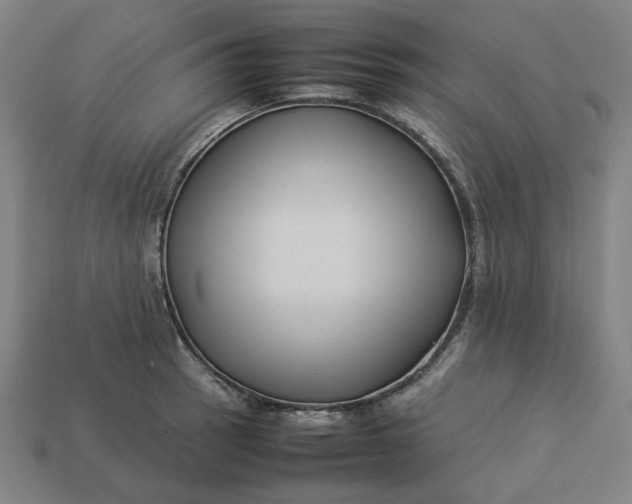 X0000113371137200910061055