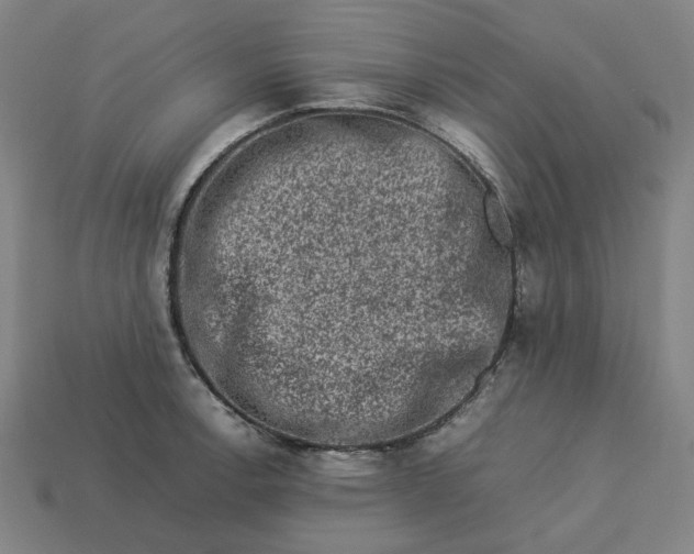 X0000113371138200910061055