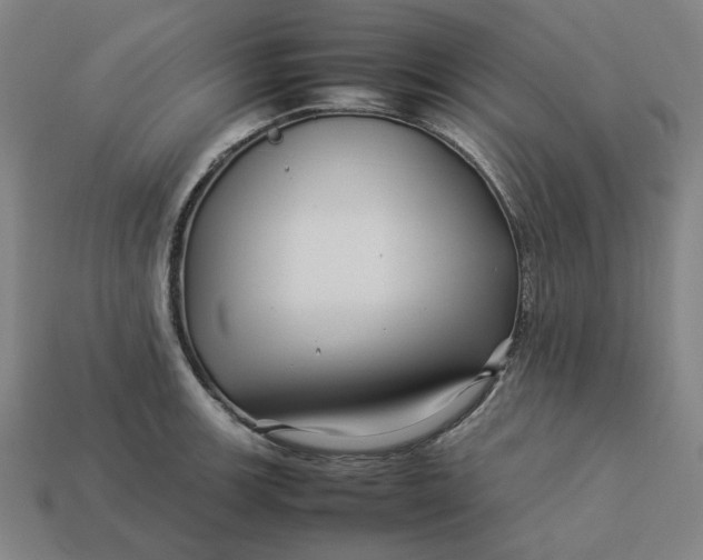 X0000113371139200910061055