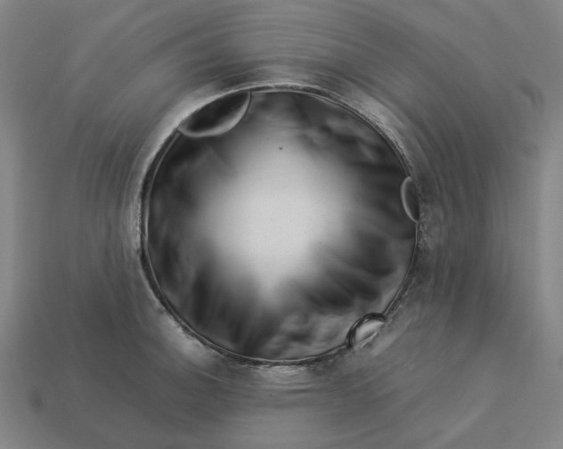 X0000113371140200910061055