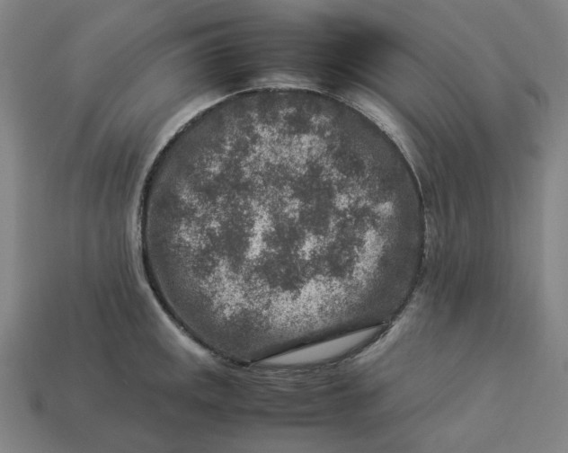 X0000113371141200910061055