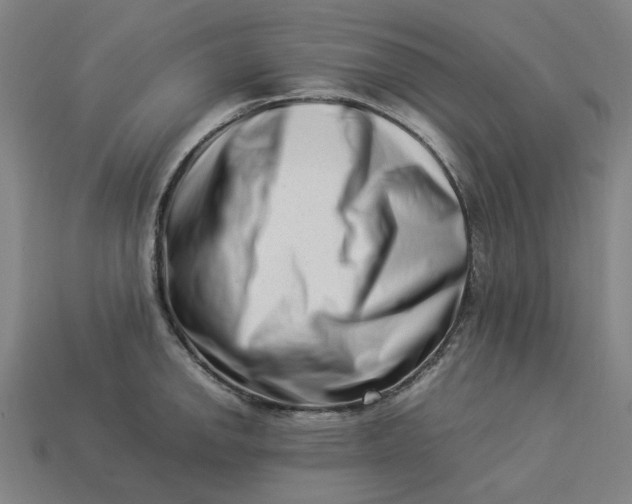 X0000113371142200910061055