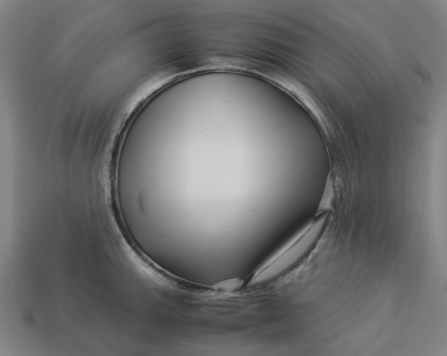 X0000113371143200910061055