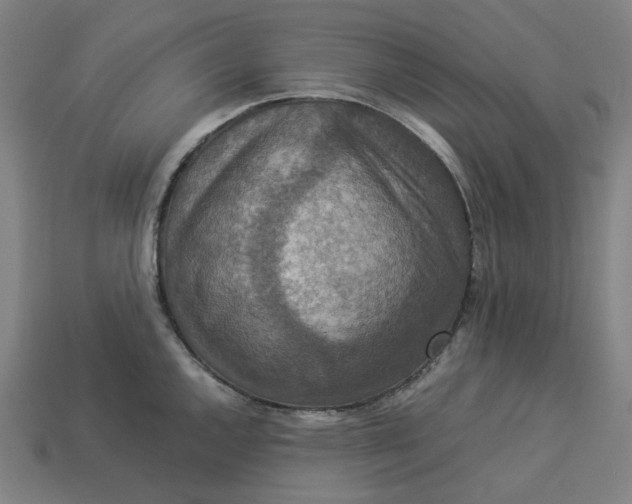 X0000113371144200910061055