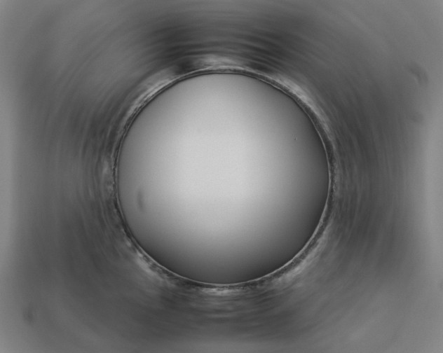 X0000113371145200910061055