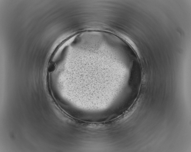 X0000113371146200910061055