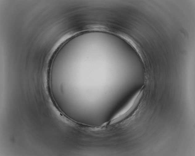 X0000113371147200910061055