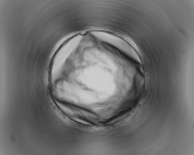 X0000113371148200910061055