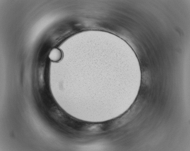 X0000113371150200910061055