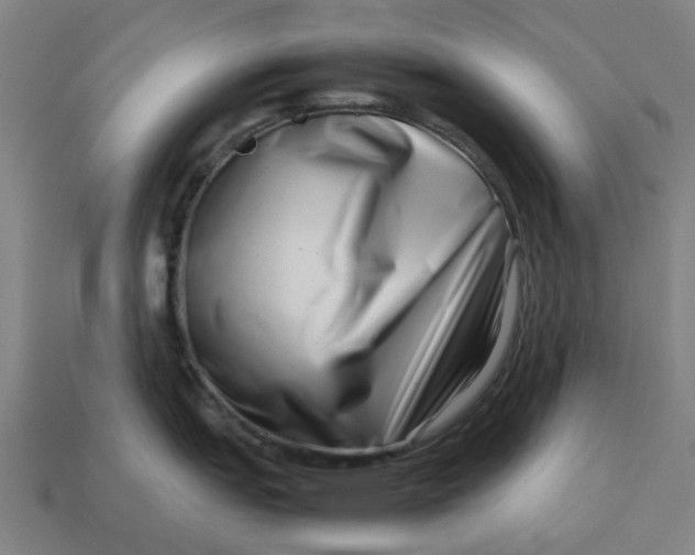 X0000113371151200910061055