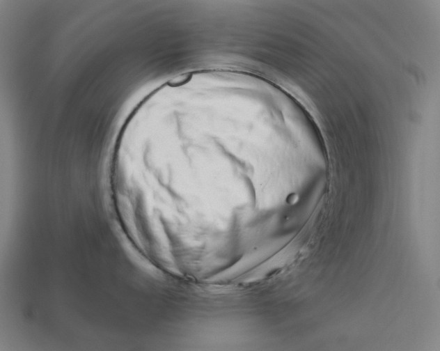 X0000113371152200910061055