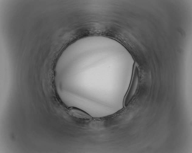 X0000113371153200910061054