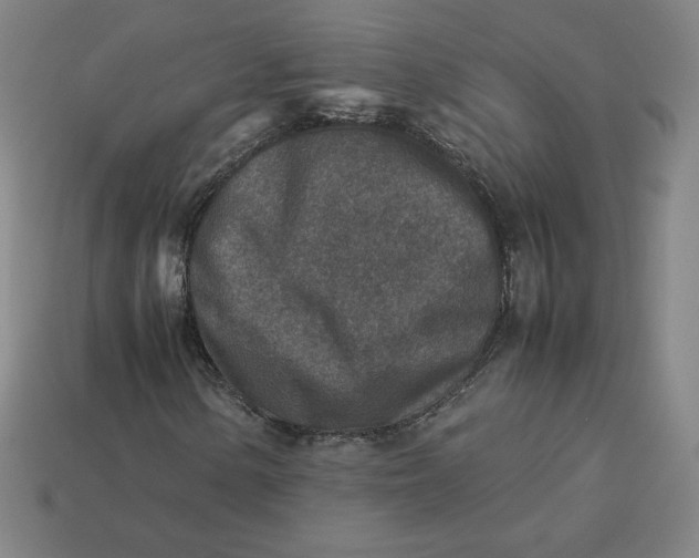 X0000113371154200910061054