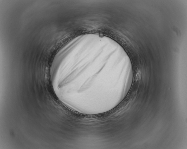 X0000113371156200910061054