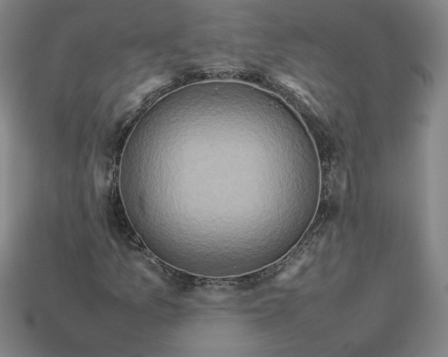 X0000113371157200910061054