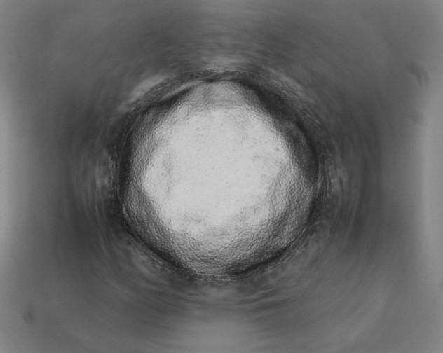 X0000113371158200910061054