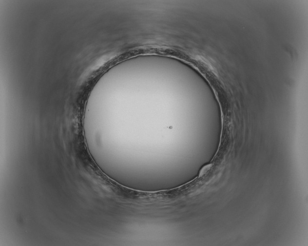 X0000113371159200910061054