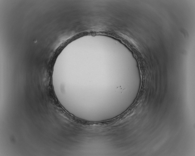 X0000113371160200910061054