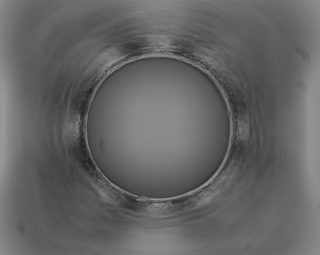 X0000113371161200910061054