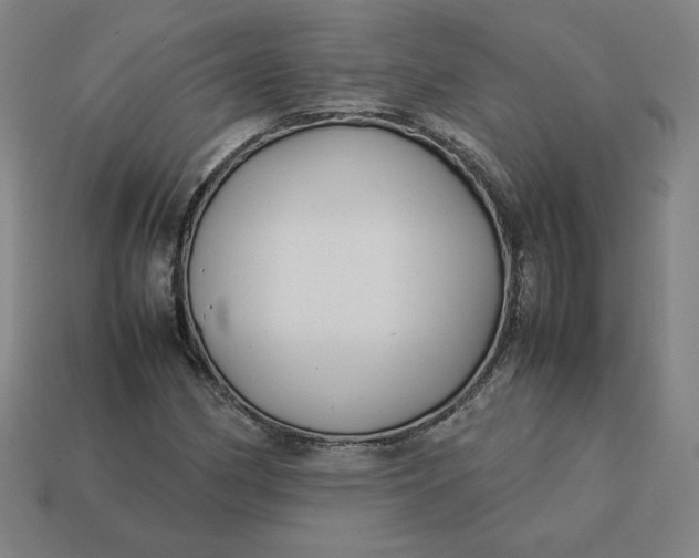 X0000113371162200910061054