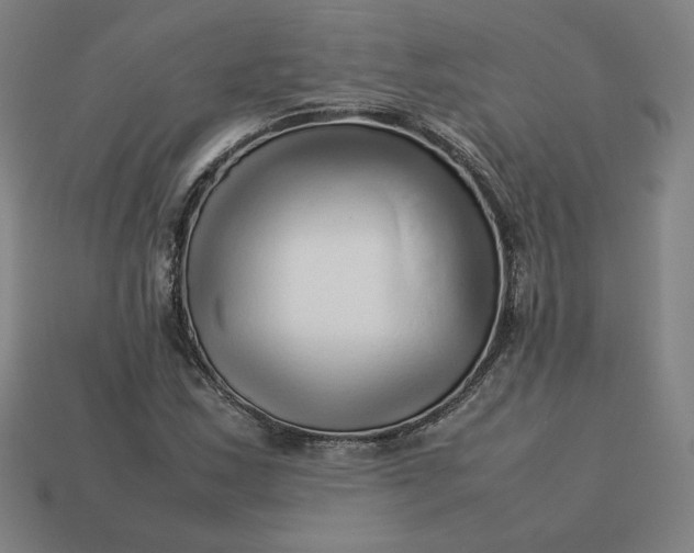 X0000113371163200910061054