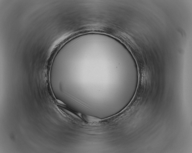 X0000113371164200910061054