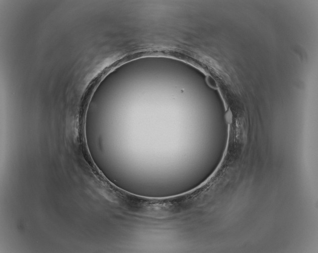 X0000113371165200910061054