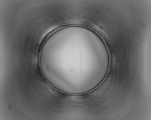 X0000113371166200910061054