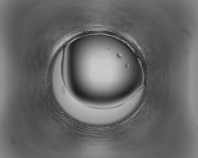 X0000113371167200910061054