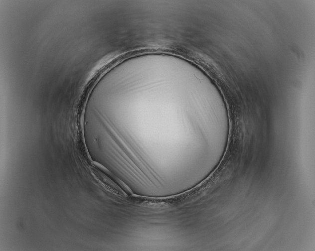 X0000113371168200910061054