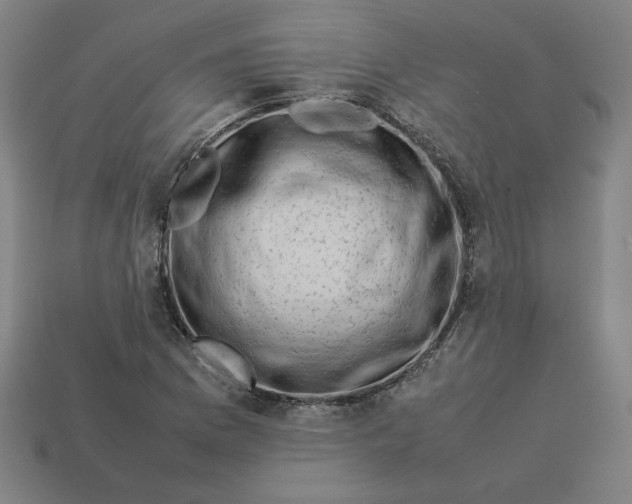 X0000113371169200910061054