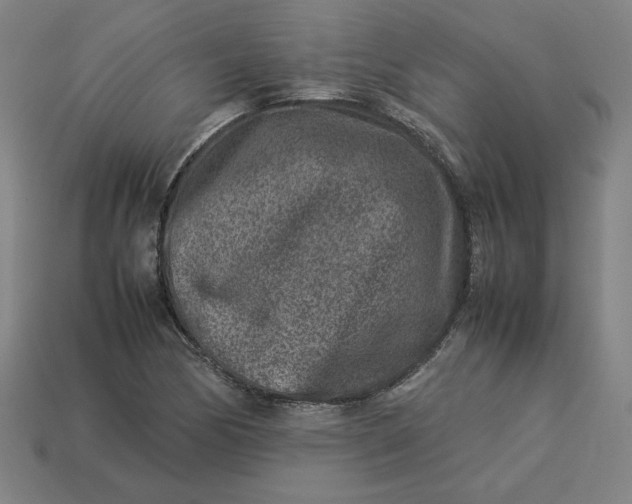 X0000113371170200910061054