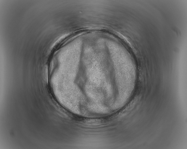 X0000113371171200910061054