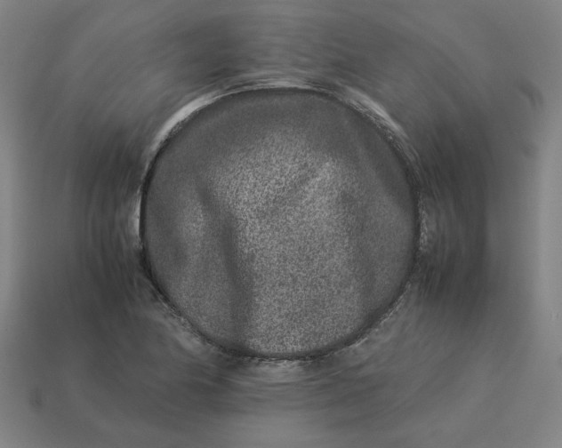 X0000113371174200910061054