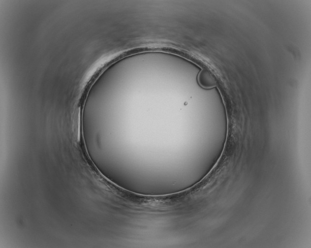 X0000113371175200910061054