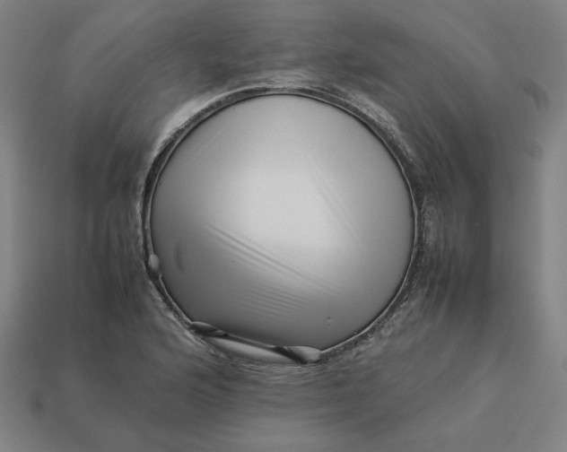 X0000113371176200910061054