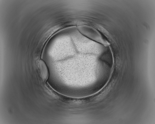 X0000113371177200910061054