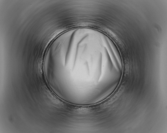 X0000113371178200910061054