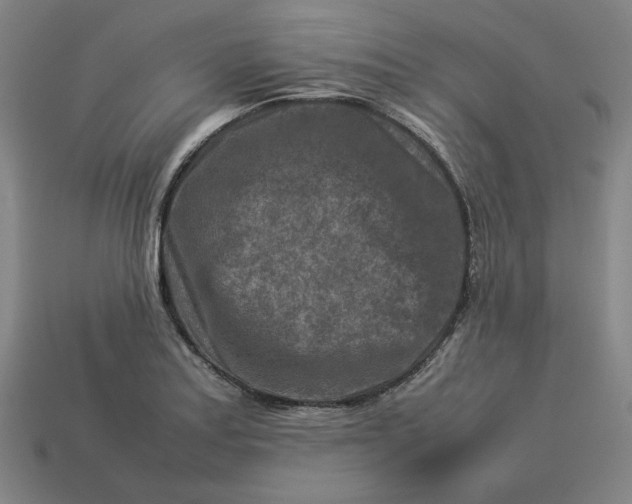 X0000113371179200910061054