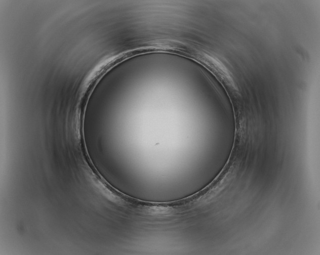 X0000113371180200910061054