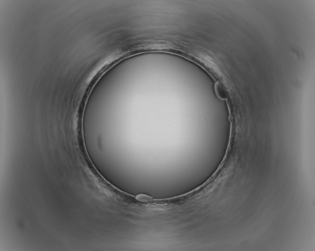 X0000113371181200910061054